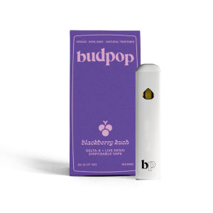 Budpop Delta 8 + Live Resin 2g Disposables (1600 mg) – Blackberry Kush