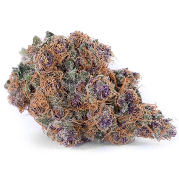Blue Dream Strain