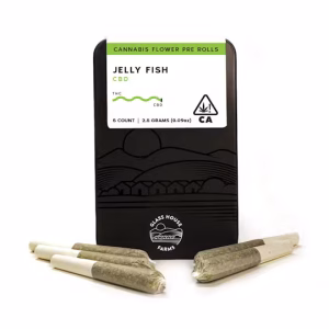 Jelly Fish [5 Pack] | Glass House Farms