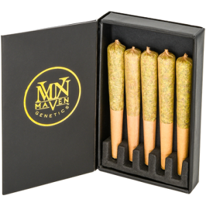 Golden Applez Pre-Roll 5-Pack [2.5g]